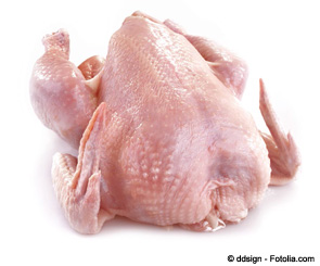 Salmonella Control in Poultry 